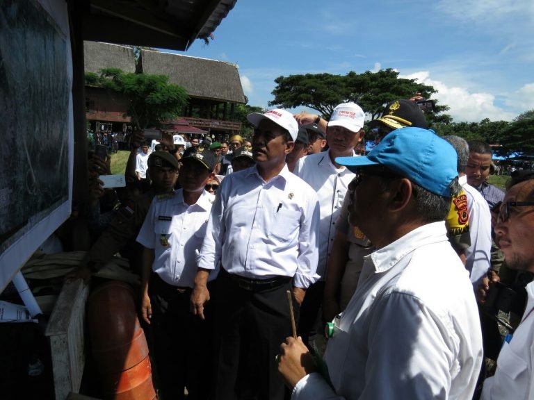 Mentan RI Tinjau Lahan Rawa Lebak di Wajo