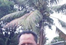 Dari Seratus Ribu Jadi 300 Pekerja: Kisah Inspiratif H. Ampang Sang Pelopor Ketahanan Pangan