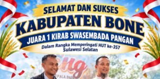 Bone Juara I Kirab Swasembada Pangan Sulsel, Bawa Pulang Hadiah Rp100 Juta