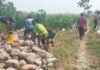 Sehari Pascapembukaan TMMD ke-130, Pengerjaan Talud di Gowa Capai 175 Meter
