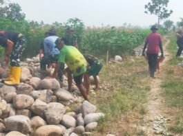 Sehari Pascapembukaan TMMD ke-130, Pengerjaan Talud di Gowa Capai 175 Meter