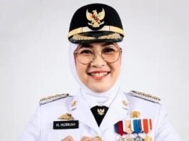 Kemendagri Berhentikan Husniah Talenrang, Darmawangsyah Muin Ditunjuk Plt Bupati Gowa